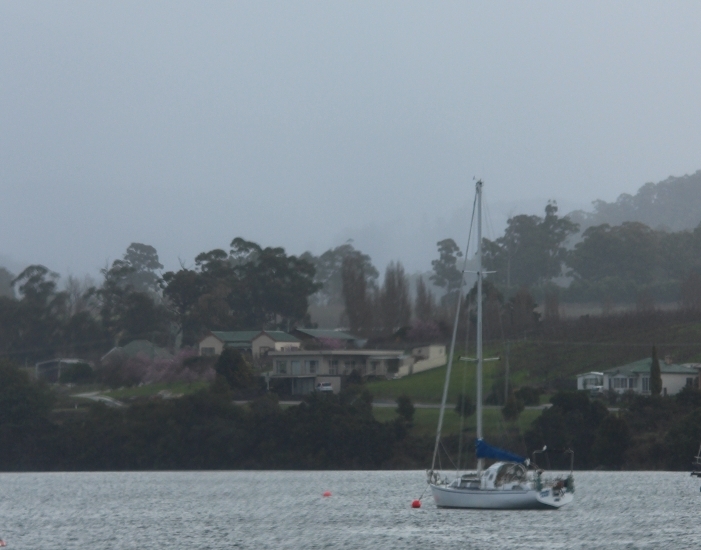 Sailing boat in stormy weather Tasmania Australia
