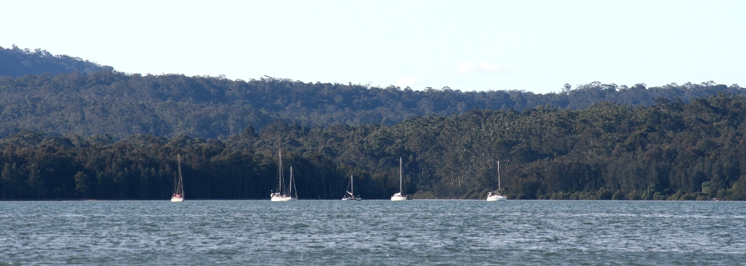 Sailboats moored in Batemans Bay, mouth of the Clyde River, Australia