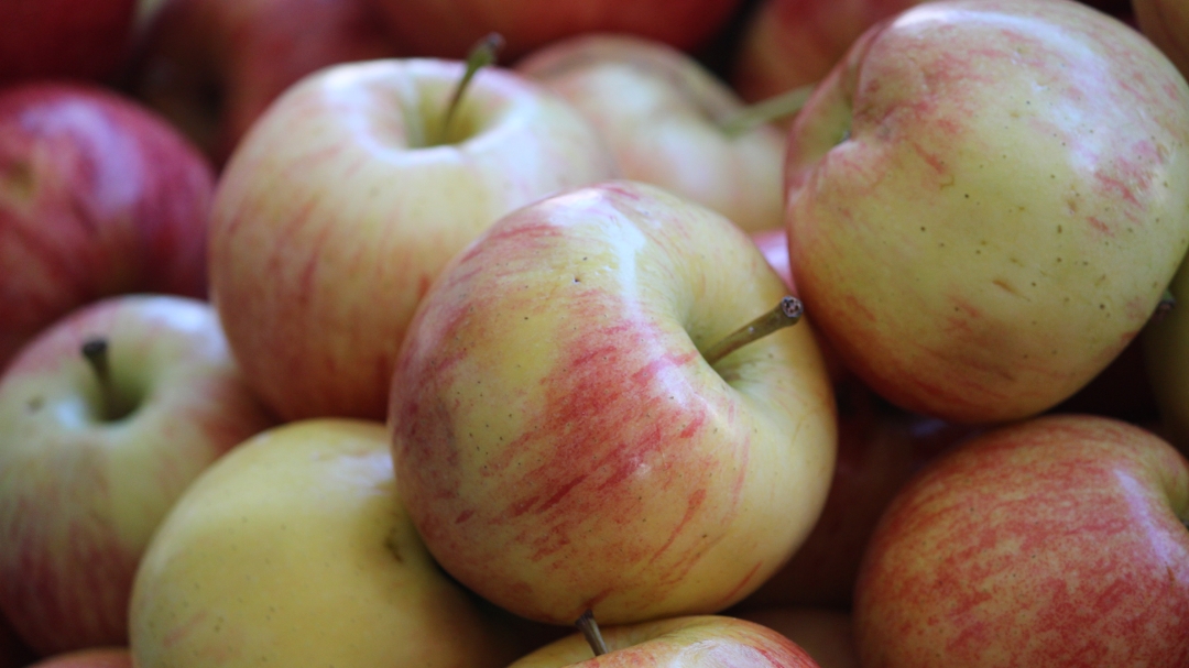 Royal Gala Apples on display in grocery store